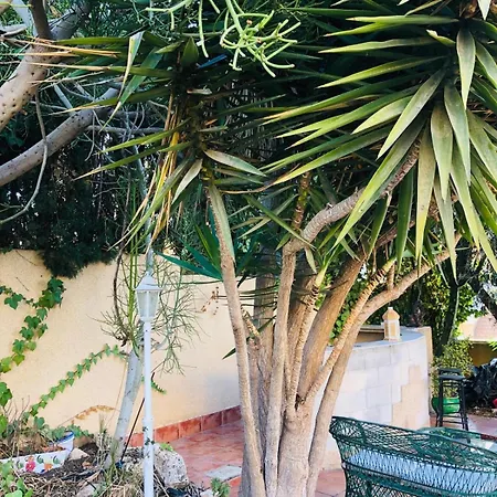 Holiday home Casa Jardin Sevillamia In Costa Orihuela